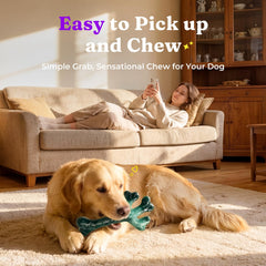 Os en nylon Frienhund saveur boeuf, mastication longue et aromatique.
