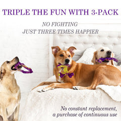 Frienhund trio-jouets durables pour plusieurs chiens et calmement occupés.
