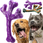 Jouet cactus XL en nylon Frienhund, pour mâcheurs puissants et durables.