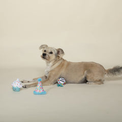 Jouet Fringe Happy Bark-Day, peluche pour petit chien, avec cri puissant et papier crissant