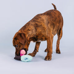 Jouet Fringe Studio avec poche-cache-trait, aide à la recherche et récompense.
