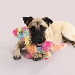 Peluche Fringe Studio dragon arc-en-ciel, adaptée à toutes les tailles de chiens et facile à attraper.