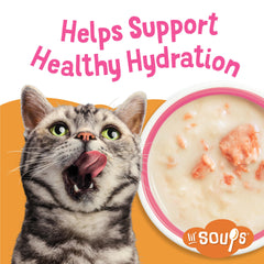 Purina Friskies Lil’ Soups bouillon velouté, soutient l’hydratation du chat.
