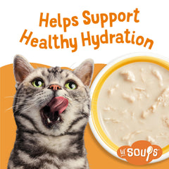 Friskies Lil' Soups: sans colorants, sans arômes ni conservateurs artificiels.