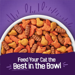 Friskies Surfin Turfin saumon — saveur riche pour varier les repas.