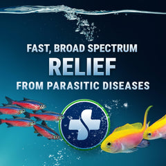 Sachets-dose ParaCleanse prémesurés facilitant l’application dans l’aquarium.