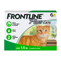 FRONTLINE Plus – pipette d’application sur chat pour une protection rapide.