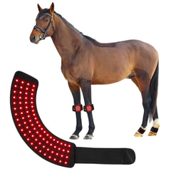 Wrap FSDLJSP de photothérapie rouge pour cheval avant-jambe, confort et circulation potentielle.