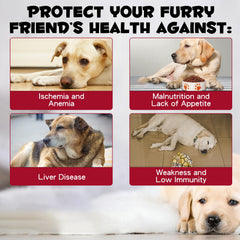 FSLHCY Goutte Fer Chien: dose précise pour le transport d'oxygène.