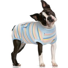 FUAMEY combinaison rétablissement chien bleu rayures, confort après opération et mobilité facilitée
