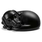 Urne chien dormants FUFYUKEY: repos sûr et élégant pour les cendres.
