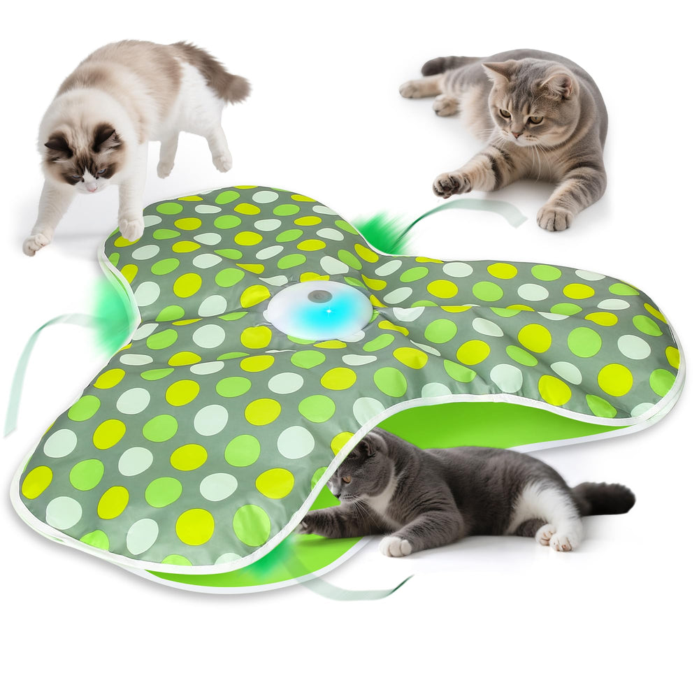 FUGODIWI chat cache-cache plume stimule l instinct de chasse et divertissement.
