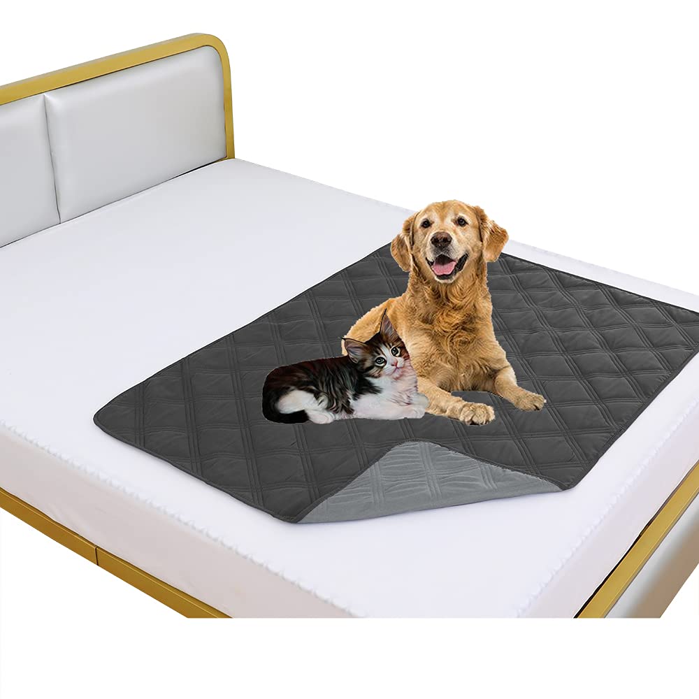fuguitex couverture chien imperméable réversible, protège le canapé des liquides