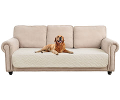 Housse Fuguitex étanche pour chien sur canapé protégeant le meuble.