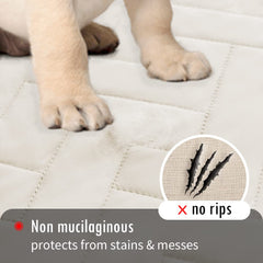 Protection mobilier Fuguitex canapé réduisant griffes et morsures.