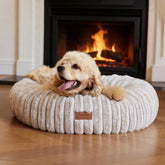 Lit FUKUMARU donut en dégradé, cocon réconfortant pour chien.