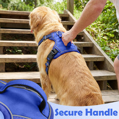 Funfox harnais chien avec anneaux zinc pour attacher la laisse en sécurité