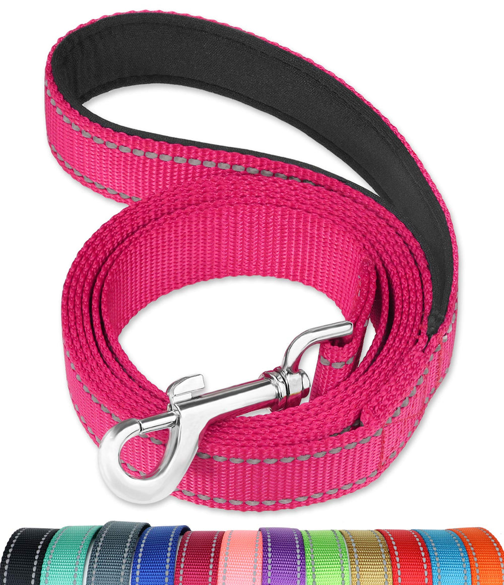 FunTags longe chien réfléchissante 6 pieds rose fluo pour promenades nocturnes sécurisées.