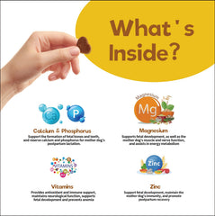 Dose quotidienne des gommes prénatales Fur Bby Wellness