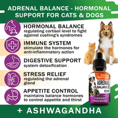 Adrenal Balance – pipette facilitant l’administration quotidienne.