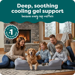 Base orthopédique solide FurHaven soutient les articulations des grands chiens