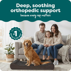 Mousse orthopédique solide FurHaven offrant un soutien ciblé