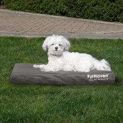 Furhaven lit moyen-petit pour chiens jusqu'à 35 lb, confort orthopédique.