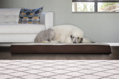 Mousse orthopédique Furhaven soutenant les articulations du chien