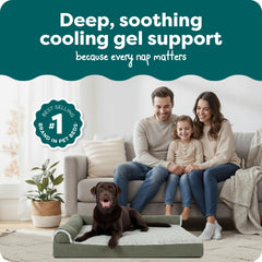 Base orthopédique solide offrant un soutien durable pour les articulations