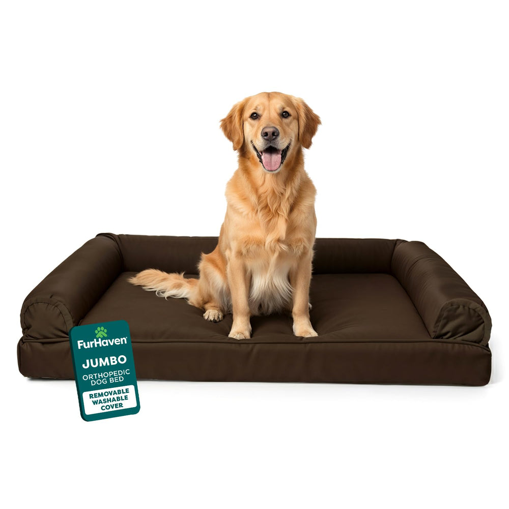 Furhaven lit orthopédique pour chien grand, surface moelleuse en peluche pour un repos agréable.