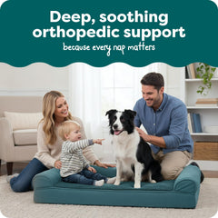 FurHaven lit orthopédique pour grands chiens – tissu plush doux pour confort.