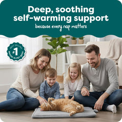 Tapis FurHaven ThermaNAP dans la caisse pour chat, confort sûr.
