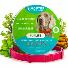 Le FurLife collier-chien rouge etanche, vue avant, prêt pour les sorties pluvieuses.