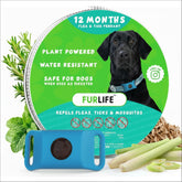 Pendentif FurLife bleu prêt à être attaché au collier du chien, facile à installer