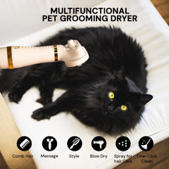 Brosse anti-poils Furrituals, réduction des poils morts après brushing.