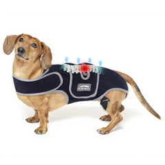 Furtent brace-dos-chien ivdd: soutien dorsal robuste pour mobilité quotidienne.