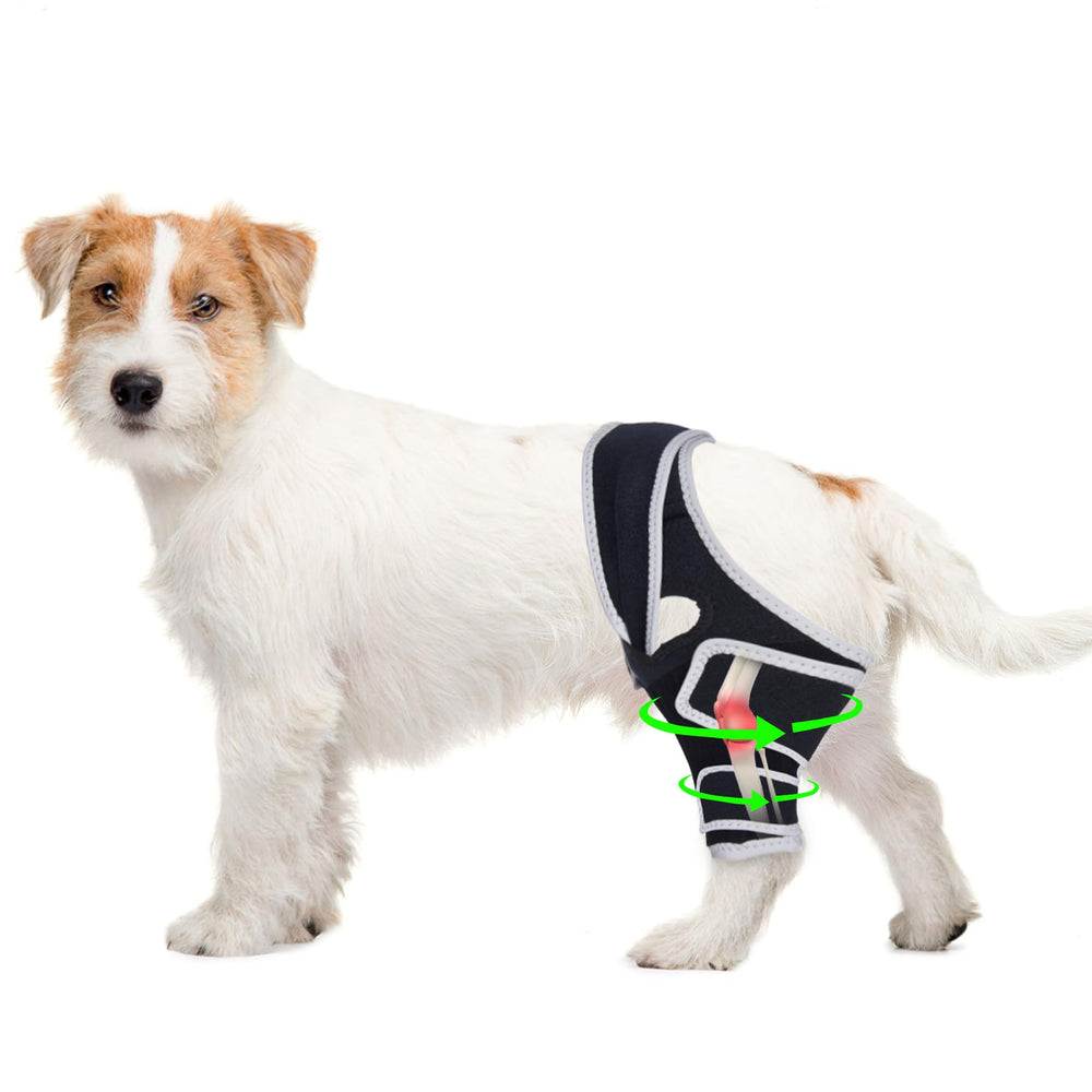 Genouillère Furtent pour chien, avant, offre stabilité pendant les promenades.