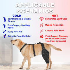 Poche gel refroidissement Furtent sur le genou arrière du chien.