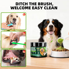 Ajout Poudre Dentaire Fuzzycare à l’alimentation: utilisation simple et rapide.