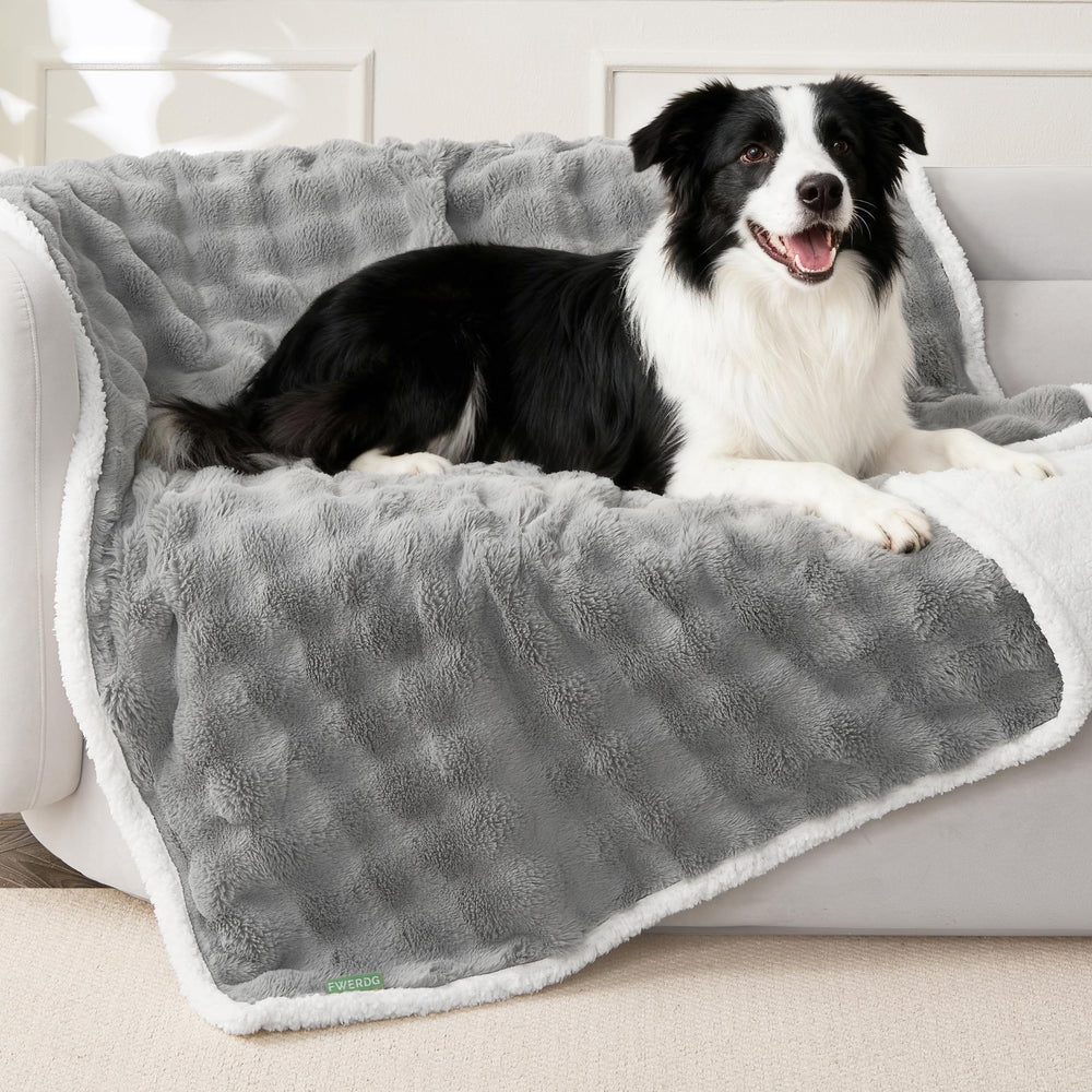 Couverture FWERDG pour chien gris, douceur et imperméabilité sur canapé et lit.