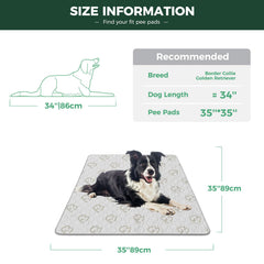 FXW tapis-pipi imperméable en TPU protège sols et meubles.