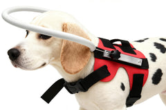 GabeFish anneau-guide leger pour chiens et chats, facilite les déplacements quotidiens