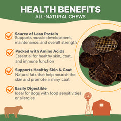 Chips Gaines Family Farmstead 100% boeuf, seul ingrédient, sans allergènes.