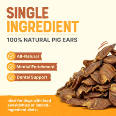 Gaines Oreilles Porc épaisse, friandise durable pour chiens robustes.