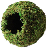 Galápagos cache grotte mousseuse 4 pouces Vert – refuge discret pour reptiles.
