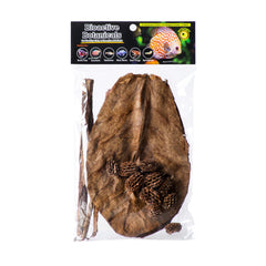 Galapagos: cônes Casuarina pour un décor naturel et eau plus équilibrée dans l’aquarium
