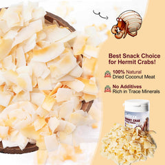 Galirzx prête à servir snack crabe ermite – bouchées pratiques sans trempage