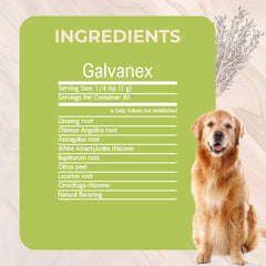 Galvanex: poudre-herbes-immunite-renforcee soutien potentiel des défenses