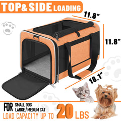 GAPZER tapis intérieur solide, base stable pour le confort du compagnon.