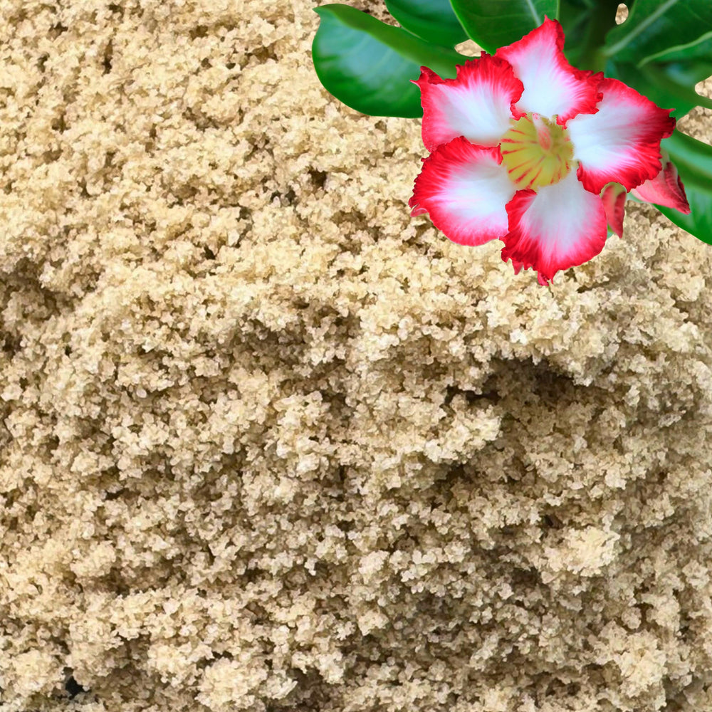 GARDENWISE sable pour plantes, grains fins, améliore l'aération des mélanges.